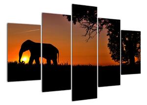 Obraz slona v prírode (Obraz 150x105cm)