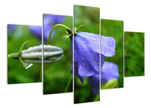 Obrazy kvetiny (Obraz 150x105cm)