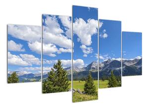 Fotka hôr - obraz (Obraz 150x105cm)