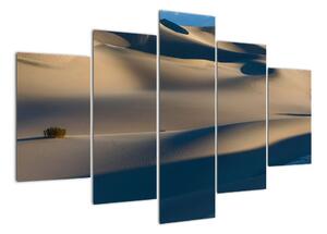 Púšť - obraz (Obraz 150x105cm)