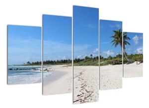 Exotická pláž - obraz (Obraz 150x105cm)