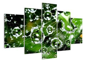 Kvapky vody - obrazy (Obraz 150x105cm)