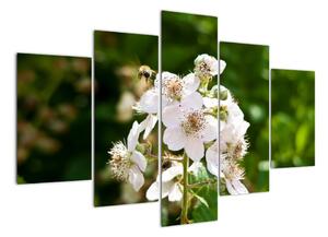 Kvetina - obraz (Obraz 150x105cm)