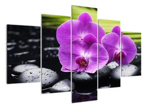 Obraz - orchidea (Obraz 150x105cm)