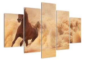 Cválajúci kôň - obraz (Obraz 150x105cm)