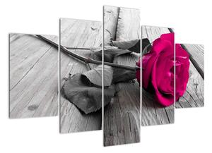 Ruže fialová - obraz (Obraz 150x105cm)