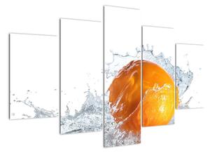 Obraz pomaranče (Obraz 150x105cm)