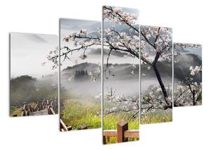 Sakura - obraz (Obraz 150x105cm)