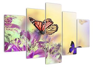 Motýle - obraz (Obraz 150x105cm)