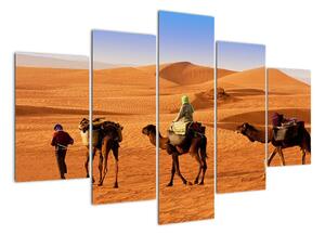 Ťavy v púšti - obraz (Obraz 150x105cm)
