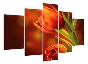 Obraz tulipánov (Obraz 150x105cm)