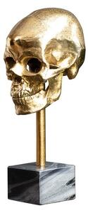 Dekoračný predmet Lebka 35 cm zlatý