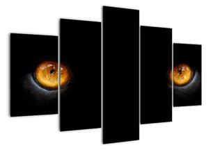 Zvieracie oči - obraz (Obraz 150x105cm)