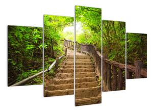 Schody v lese - obraz (Obraz 150x105cm)