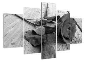 Obraz čiernobiele ruže (Obraz 150x105cm)