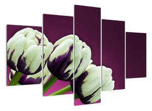 Makro tulipánov - obraz (Obraz 150x105cm)