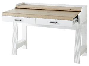 Písací stôl JASMIN pínia/dub artisan