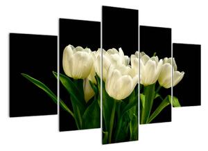 Biele tulipány - obraz (Obraz 150x105cm)