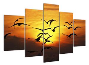Obraz letiacich vtákov (Obraz 150x105cm)