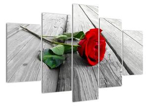 Moderný obraz - ruža (Obraz 150x105cm)