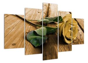 Obrazy kvetov - ruža (Obraz 150x105cm)