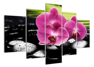 Fotka orchidey (Obraz 150x105cm)