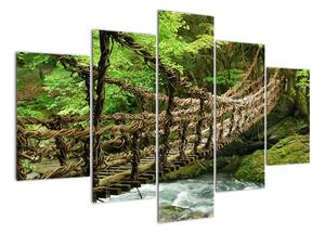 Obraz - most v prírode (Obraz 150x105cm)