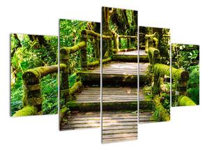 Schody v záhrade - obraz (Obraz 150x105cm)