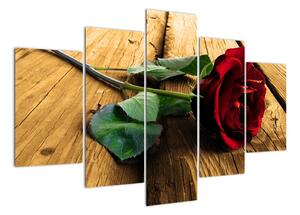 Ležiaci ruža - obraz (Obraz 150x105cm)