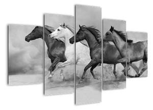 Obraz cválajúci koňov (Obraz 150x105cm)