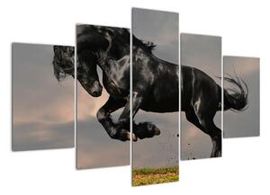 Čierny kôň, obraz (Obraz 150x105cm)