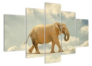 Slon na lane, obraz (Obraz 150x105cm)