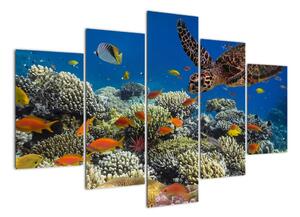 Obraz podmorského sveta (Obraz 150x105cm)