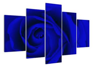 Detail modré ruže - obraz (Obraz 150x105cm)