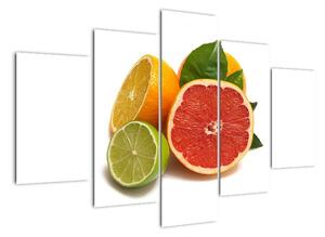 Citrusové plody - obraz (Obraz 150x105cm)