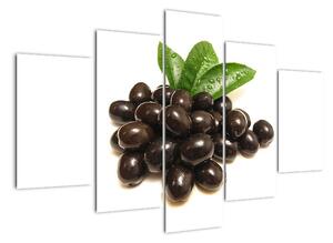 Olivy, obraz (Obraz 150x105cm)