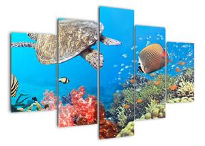 Podmorský svet, obraz (Obraz 150x105cm)