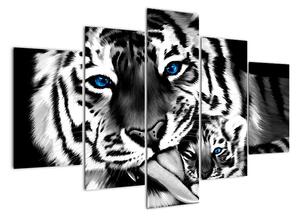 Tiger s mláďaťom, obraz (Obraz 150x105cm)