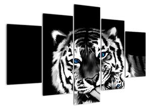 Obraz tigra s mláďaťom (Obraz 150x105cm)