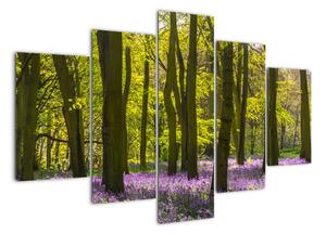 Obraz lesa (Obraz 150x105cm)