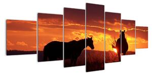 Obraz - kone pri západe slnka (Obraz 210x100cm)