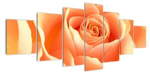 Obraz oranžové ruže (Obraz 210x100cm)