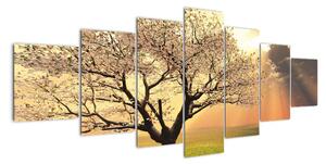 Obraz prírody - strom (Obraz 210x100cm)