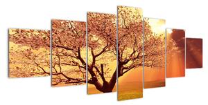 Obraz prírody - strom (Obraz 210x100cm)