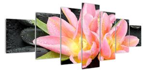 Obraz kvetov (Obraz 210x100cm)