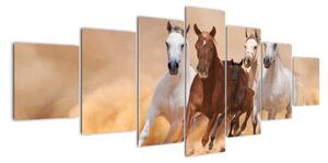 Obrazy bežiacich koní (Obraz 210x100cm)