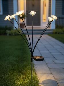 Sinsay - Solárna LED lampa v tvare kvetu - biela