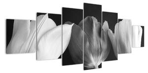 Čiernobiely obraz - tri tulipány (Obraz 210x100cm)