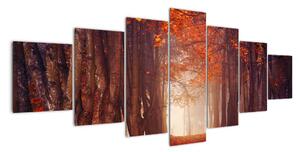 Jesenné les - obraz (Obraz 210x100cm)