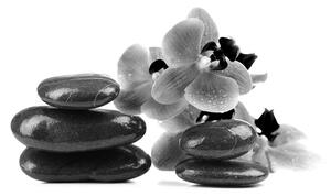 Fototapeta čiernobiele kamene a orchidea